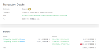 Dogecoin Whale Takes $52.three Million In DOGE Off Binance, Signal Of Shopping for?