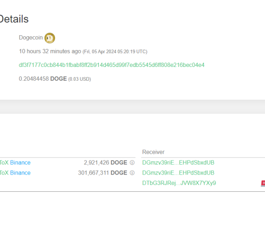 Dogecoin Whale Takes $52.three Million In DOGE Off Binance, Signal Of Shopping for?