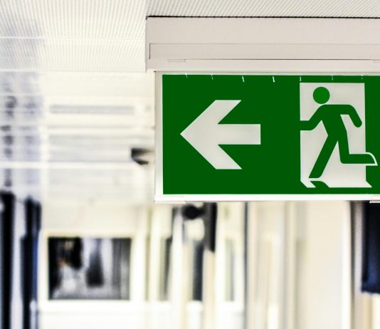 Breakout Of The Yr? Crypto Analyst Predicts The place NEAR Is Headed Subsequent
