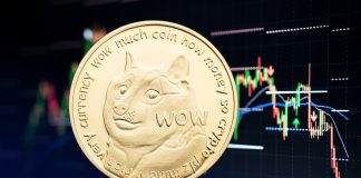Dogecoin Rally Intensifies: Eyes Set On Historic New Highs