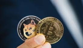 Crypto Skilled Reveals What To Count on For Bitcoin, Dogecoin, And XRP In 12-16 Months