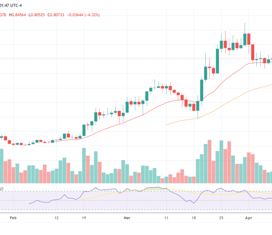 Crypto Analyst Unveils Prime Altcoins For Largest Returns This Cycle