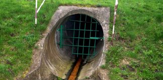 SUI Slips After Hitting All-Time Excessive: TVL Tumbles 12% – Token Worth In The Gutter?