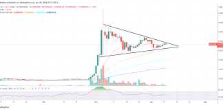 Shiba Inu (SHIB) Worth On The Verge Of Main Breakout, Right here’s Why
