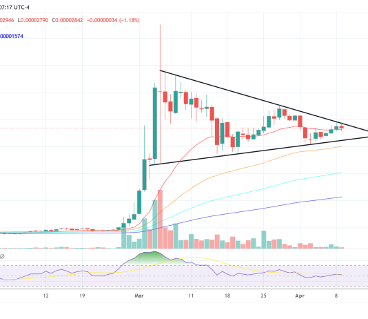 Shiba Inu (SHIB) Worth On The Verge Of Main Breakout, Right here’s Why