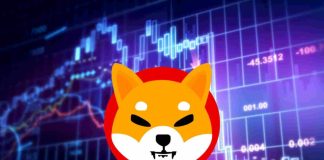 Shiba Inu Sees Bullish Reversal In On-Chain Metrics, Can SHIB Worth Get better?