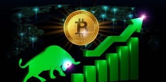 Ethena’s (ENA) Essential Position In Bitcoin Bull Market: Knowledgeable Identifies Crucial Components For Sustainable Progress