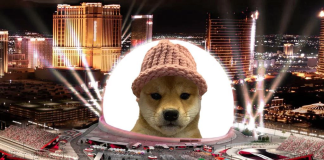 From Hat To Heights: Dogwifhat’s $17 Crypto Leap Electrifies Traders