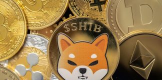 Crypto Analyst Drops Buying and selling Technique To Revenue Off Shiba Inu’s Subsequent Leg Up Above $0.00003