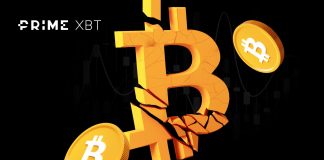 What to anticipate after the Bitcoin Halving: a have a look at post-halving efficiency