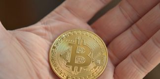 Bitcoin ETF Issuers Push Holdings To 4.27% Of BTC Provide Amid Crash To $61,000