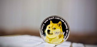 Dogecoin Whales Ship 800 Million DOGE To Exchanges, Dump Incoming?