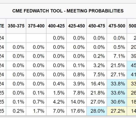 ‘We Bought Every part Final Night time’, Reveals Crypto Analysis Agency ‘We Bought Every part Final Night time’, Reveals Crypto Analysis Agency