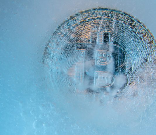 Bitcoin To $455,000: Professional Echoes Earlier Halving Sample