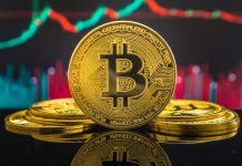 Crypto Knowledgeable Predicts A Narrative Shift Put up-Bitcoin Halving