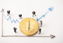 Bitcoin Halving: Anticipating Worth Affect, Miner Challenges, And Lengthy-Time period Outlook