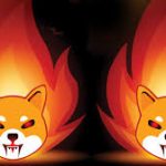 Shiba Inu Burn Fee Sees 81% Every day Improve, However Why Is Participation Low?