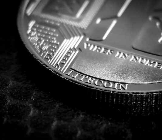 Halving Hype Lifts Litecoin: Analyst Sees 400% Worth Enhance Coming