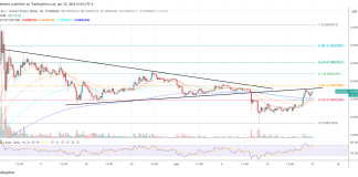 Shiba Inu Group Fixes Shibarium Outage As SHIB Readies For Potential Surge