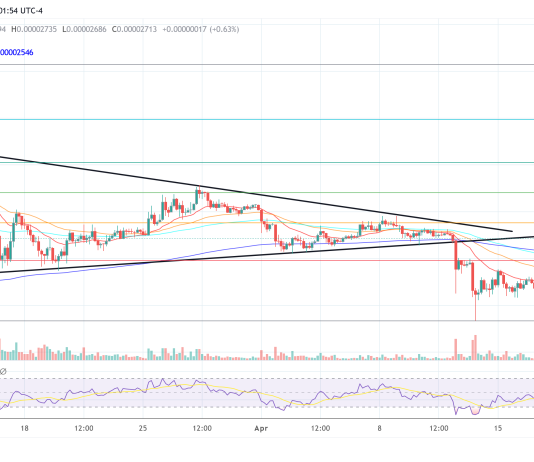 Shiba Inu Group Fixes Shibarium Outage As SHIB Readies For Potential Surge