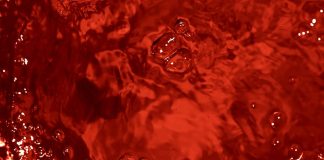 Is The Bitcoin Massacre Over? Analysts Say $60,000 Is The Cycle’s Backside