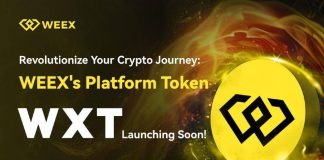 WEEX Alternate Unveils WXT Token to Improve Ecosystem and Reward Neighborhood Engagement
