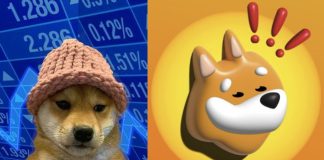 Solana Memecoins WIF And BONK Explode By Double Digits: Key Causes