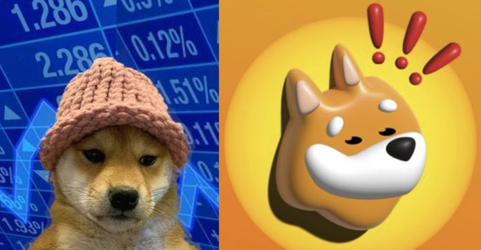 Solana Memecoins WIF And BONK Explode By Double Digits: Key Causes