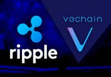 Analyst Singles Out VeChain And XRP For Parabolic Surge, Right here Are The Targets