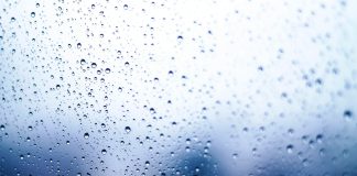 Detrimental Nirvana? Decoding The First Bitcoin Funding Price Dip Of 2024