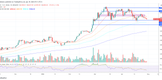 Legendary Dealer Predicts When Bitcoin’s Bull Run Will Finish Legendary Dealer Predicts When Bitcoin’s Bull Run Will Finish