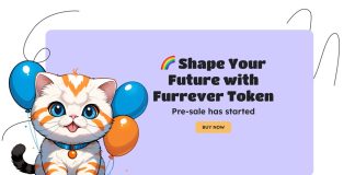 Welcome to the Furrever Token (FURR) World: Remodeling Memes Into Useful Property