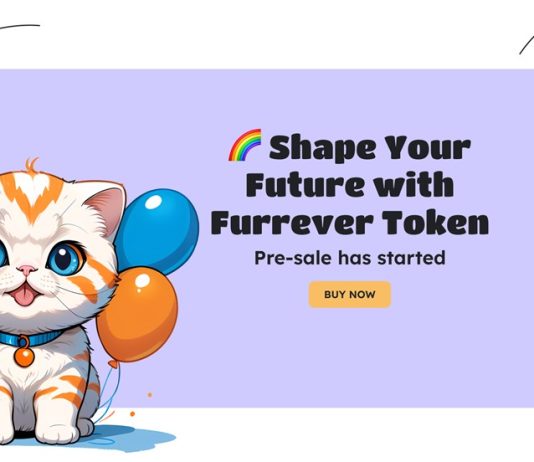 Welcome to the Furrever Token (FURR) World: Remodeling Memes Into Useful Property