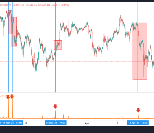 This Bitcoin Metric Foreshadowed Latest Worth Drops, Quant Reveals