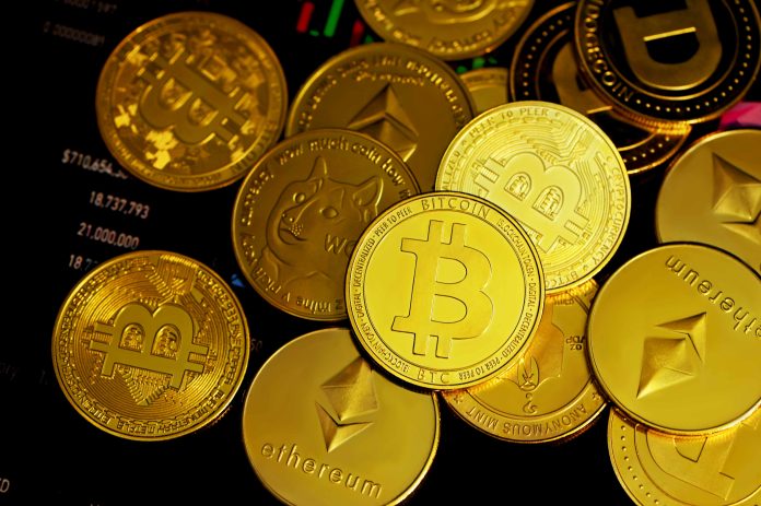 Bitcoin Dominance: Merchants Preferring The OG To Dogecoin & Different Altcoins Bitcoin Dominance: Merchants Preferring The OG To Dogecoin & Different Altcoins