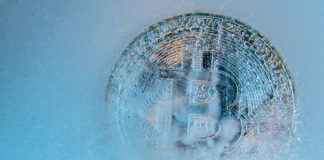 Main Bitcoin Developments Factors To A Wilder Bull Cycle Than Anticipated