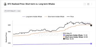 Bitcoin Droop Pushes New Whales Underwater: A Uncommon Alternative To Purchase?