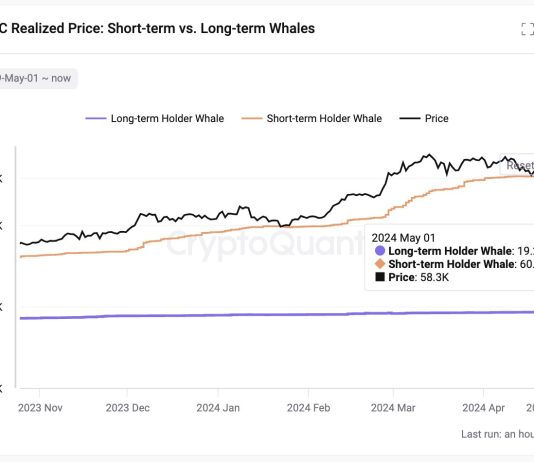 Bitcoin Droop Pushes New Whales Underwater: A Uncommon Alternative To Purchase?