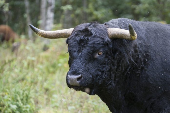 Is MATIC Poised For Takeoff? Key Space Breaks Information, Fueling Bullish Outlook