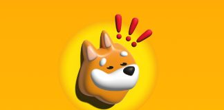 Bonk: The Solana Meme Coin Phenomenon Shaking Up the Crypto World