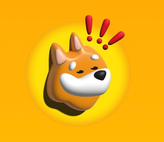 Bonk: The Solana Meme Coin Phenomenon Shaking Up the Crypto World