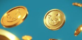 Shiba Inu Stands Sturdy: Over 650Ok Pockets Addresses Nonetheless Worthwhile Amid Current Worth Drop