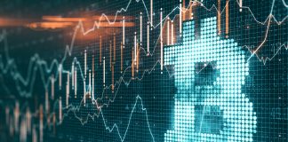 Bitcoin Repeating Bull Cycle Development From Eight Years Again: Analyst