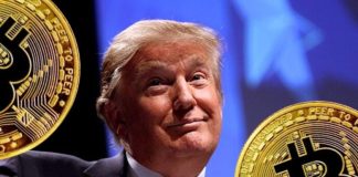 Donald Trump Might Be Bitcoin’s Largest Worth Booster: Consultants