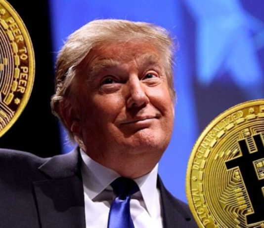 Donald Trump Might Be Bitcoin’s Largest Worth Booster: Consultants