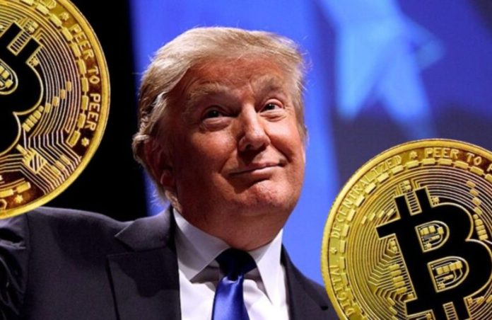 Donald Trump Might Be Bitcoin’s Largest Worth Booster: Consultants