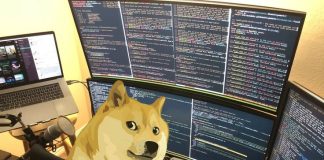 Unlocking The Dogecoin Code: One Issue Holds The Key To Its Subsequent Ascent