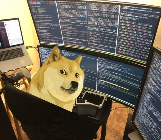 Unlocking The Dogecoin Code: One Issue Holds The Key To Its Subsequent Ascent