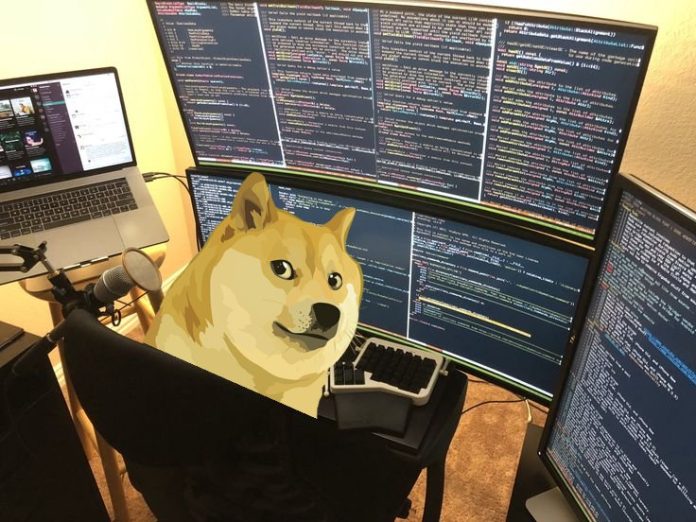 Unlocking The Dogecoin Code: One Issue Holds The Key To Its Subsequent Ascent