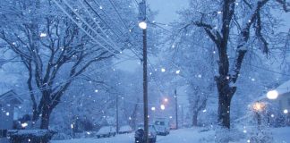 Solana Snowfall? Worth Plunges Amidst Market Correction – Will It Get Worse?